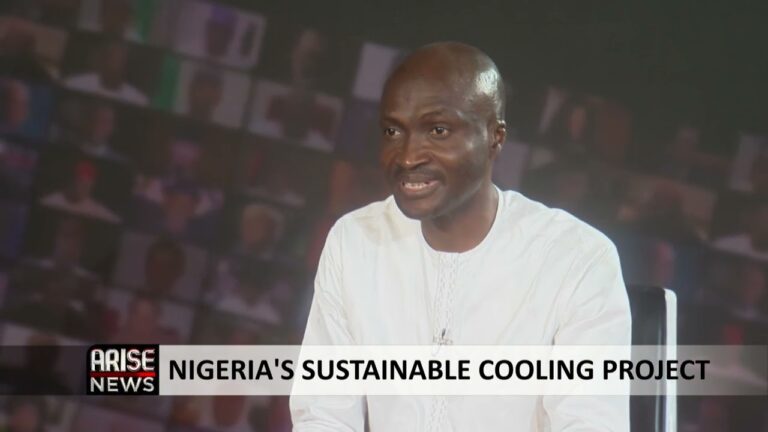 Climate Change: Our Campaign Encourages Nigerians To Use Energy Efficient Cooling Air Conditioners – Uyigue