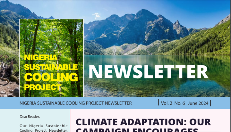 Nigeria Sustainable Cooling Project Newsletter, June Edition